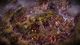 Eador: Masters of the Broken World PC, wersja cyfrowa 3