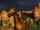 Desperados 2: Cooper's Revenge PC, wersja cyfrowa 7