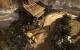 Starbreeze Studios Brothers - A Tale of Two Sons PC, wersja cyfrowa 11