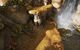 Starbreeze Studios Brothers - A Tale of Two Sons PC, wersja cyfrowa 5
