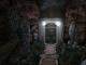 Aura: Fate of the Ages PC, wersja cyfrowa 6