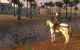 Mount & Blade: Warband PC, wersja cyfrowa 3