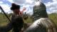 Mount & Blade: With Fire and Sword GOG CD Key 1