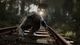 The Vanishing of Ethan Carter 5