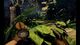 Deadfall Adventures PC, wersja cyfrowa 4