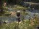 The Chronicles of Narnia: Prince Caspian PC, wersja cyfrowa 4