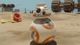 LEGO Star Wars: The Force Awakens - Deluxe Edition PC, wersja cyfrowa 2
