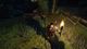 Gothic 3: Forsaken Gods Enhanced Edition Steam Gift 1