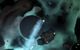 Ring Runner: Flight of the Sages (Steam Gift) 4