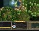 Age of Wonders II: The Wizard's Throne PC, wersja cyfrowa 5