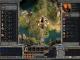 Age of Wonders: Shadow Magic PC, wersja cyfrowa 11