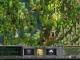 Age of Wonders: Shadow Magic PC, wersja cyfrowa 7