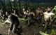 Left 4 Dead (Steam Gift) PC, wersja cyfrowa 4