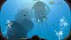 Subnautica PC, wersja cyfrowa 3