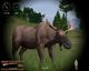 Hunting Unlimited 2010 PC, wersja cyfrowa 1