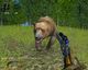 Hunting Unlimited 2010 PC, wersja cyfrowa 5