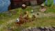 Magicka EU PC, wersja cyfrowa 12