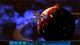 Space Run Galaxy PC, wersja cyfrowa 5