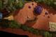 Armikrog PC, wersja cyfrowa 8