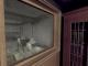 1953 KGB Unleashed PC, wersja cyfrowa 8