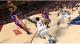 NBA 2K13 PC 7