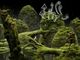 Samorost 3 Steam Gift 1