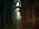 Guild Wars Game of the Year Edition 5
