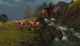 Guild Wars Factions 6