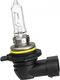 Philips ŻARÓWKA HIR2 12V/55W 9012 PX22D PHILIPS LONGLIFE 1SZT 1