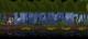 Kingdom: Classic PC, wersja cyfrowa 7