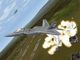 F-22 Lightning 3 2