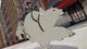 The Legend of Korra PC, wersja cyfrowa 4