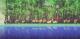 Pixel Piracy PC, wersja cyfrowa 2