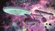 Star Trek: Bridge Crew PC, wersja cyfrowa 4