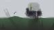 Rain World PC, wersja cyfrowa 4