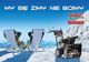 Murray PŁUG ŚNIEŻNY ŚNIEGU ODŚNIEŻARKA ODŚNIEŻARKI SPALINOWA NAC MURRAY ML61750R B&S 750 SNOW SERIES 2