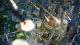 SIMCITY 5