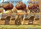 METAL SLUG 2 5