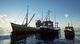 Fishing: Barents Sea PC, wersja cyfrowa 3