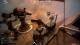 Guns of Icarus Online 7