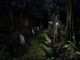 Barrow Hill: Curse of the Ancient Circle PC, wersja cyfrowa 1