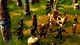 Holy Avatar vs Maidens of the Dead PC, wersja cyfrowa 5