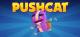 Pushcat PC, wersja cyfrowa 1