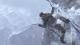 Call of Duty: Modern Warfare 2 PC, wersja cyfrowa, 2009 16