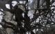 Call of Duty 4: Modern Warfare PC, wersja cyfrowa 9
