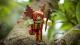 Figurka Tm Toys Roblox Figurka Queen of the Treelands 4