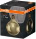 Osram Filament Vintage 1906, 7W, E27, 725lm 2