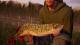 Fishing Sim World PC 3