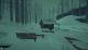 The Long Dark Xbox One 3