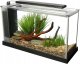 Hagen Akwarium szklane Fluval SPEC V z LED, 19L, 52 cm x 29.5 cm x 19 cm, czarne 1